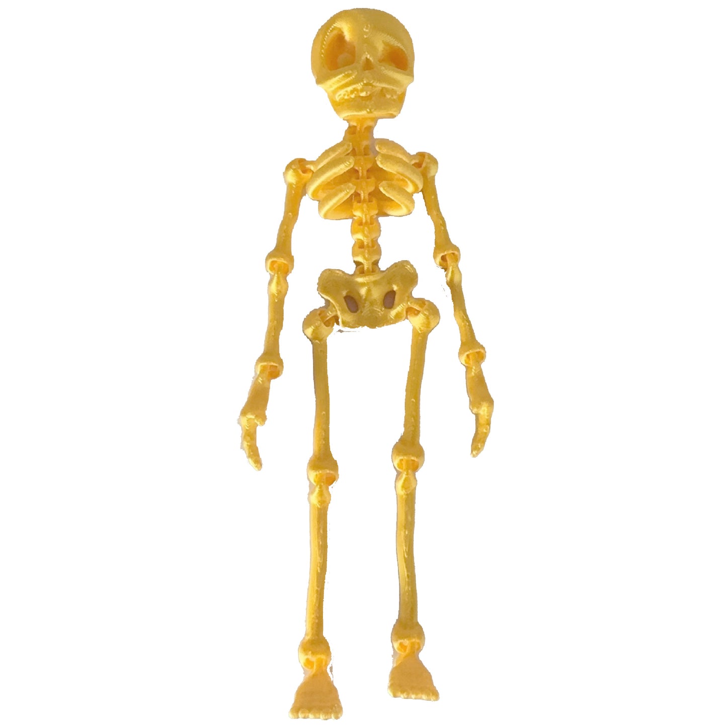 ๐3D Printed Vintage Skeleton Magnetic Figurine ๐