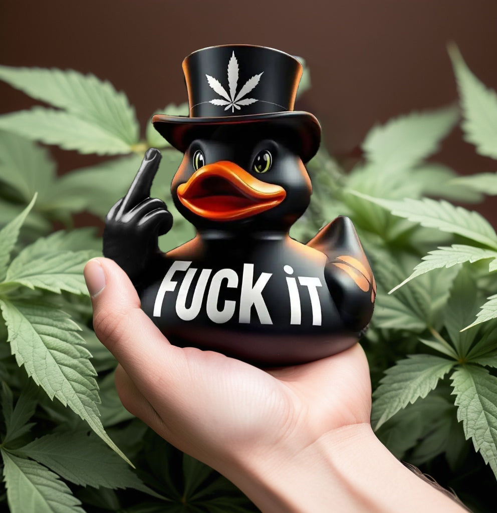 🤣Middle Finger Duck